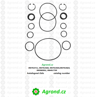 Sada těsnění Tělesa ložiska Variátoru pojezdu HS 27 013/00 9907915383 Fortschritt E 512