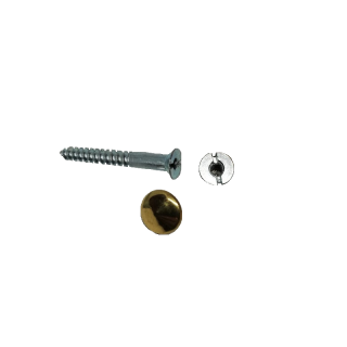 Šroub ∅ 4,5 x 40 mm s krytkou ∅ 12 mm, 4 ks, pozinkovaný